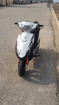 ماكس ياباني • سلف وهندر • أوراق مداورة