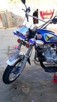 ستوت جمره فحل • عمره ١٥يوم • نجف ابوصخير