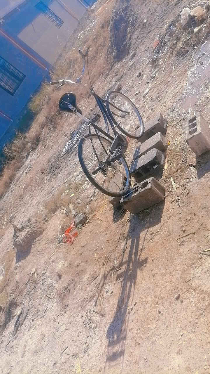 باسكل للبيع حجمه 26المكان كربلاء طويريج 70وبي مجال لل توصل الرقم ***********
