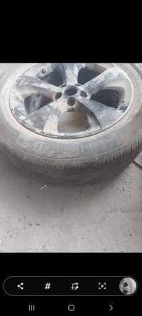 ويل كب • جيب • أصلي