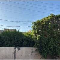 اعلان.… ..رقم (334) بيت للبيع يباع ارض مساحه 600متر يقع في حي الجهاد ا...