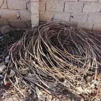 شياش مغطه للبيع  العدد 300 شيش  رقم الموبايل ‏‪07717254941‬‏