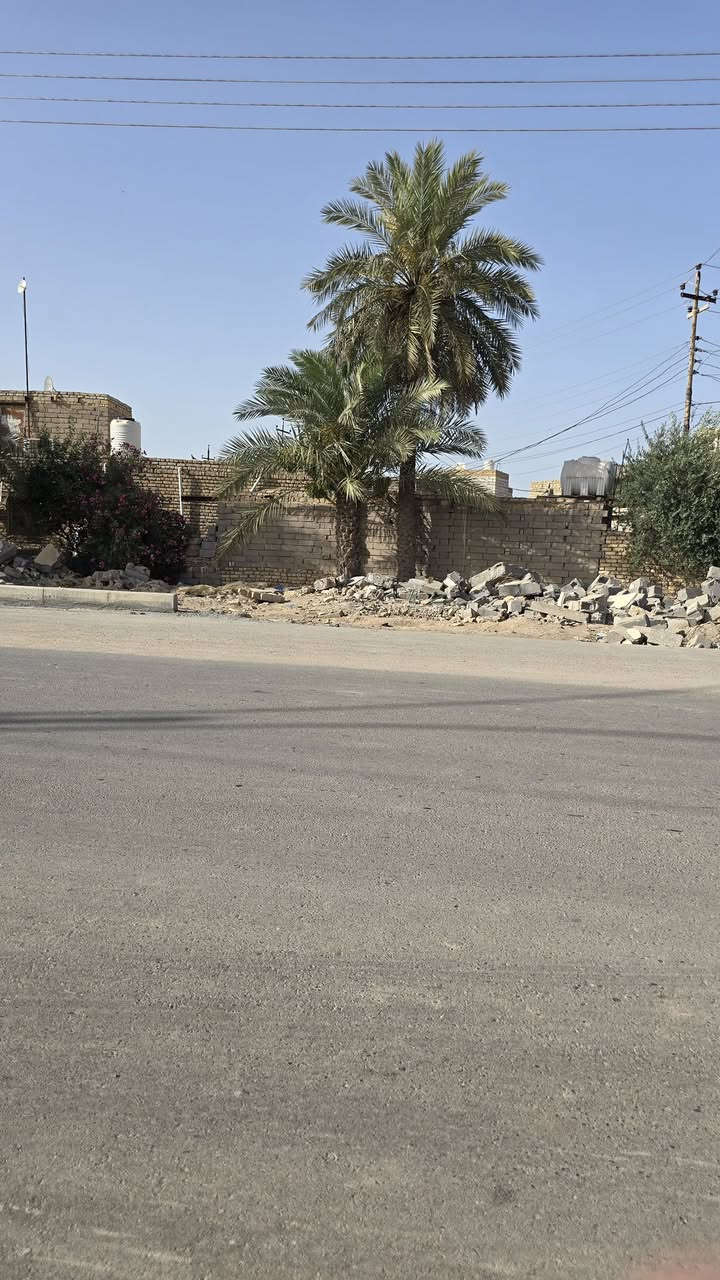 قطعة أرض زراعي ، المساحة ( 125 ) متر ،
واجهة القطعة ع الشارع العام ( ركن ) ، تصلح تكون محلات ، 

الموقع " ناحية أور ( السديناوية ) منطقة ال ديبس "
لمزيد من الاستفسار الاتصال على الرقم  " *********** "
