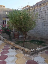 ناصريه سبل ثانيه • ٣٠٠م • طابو