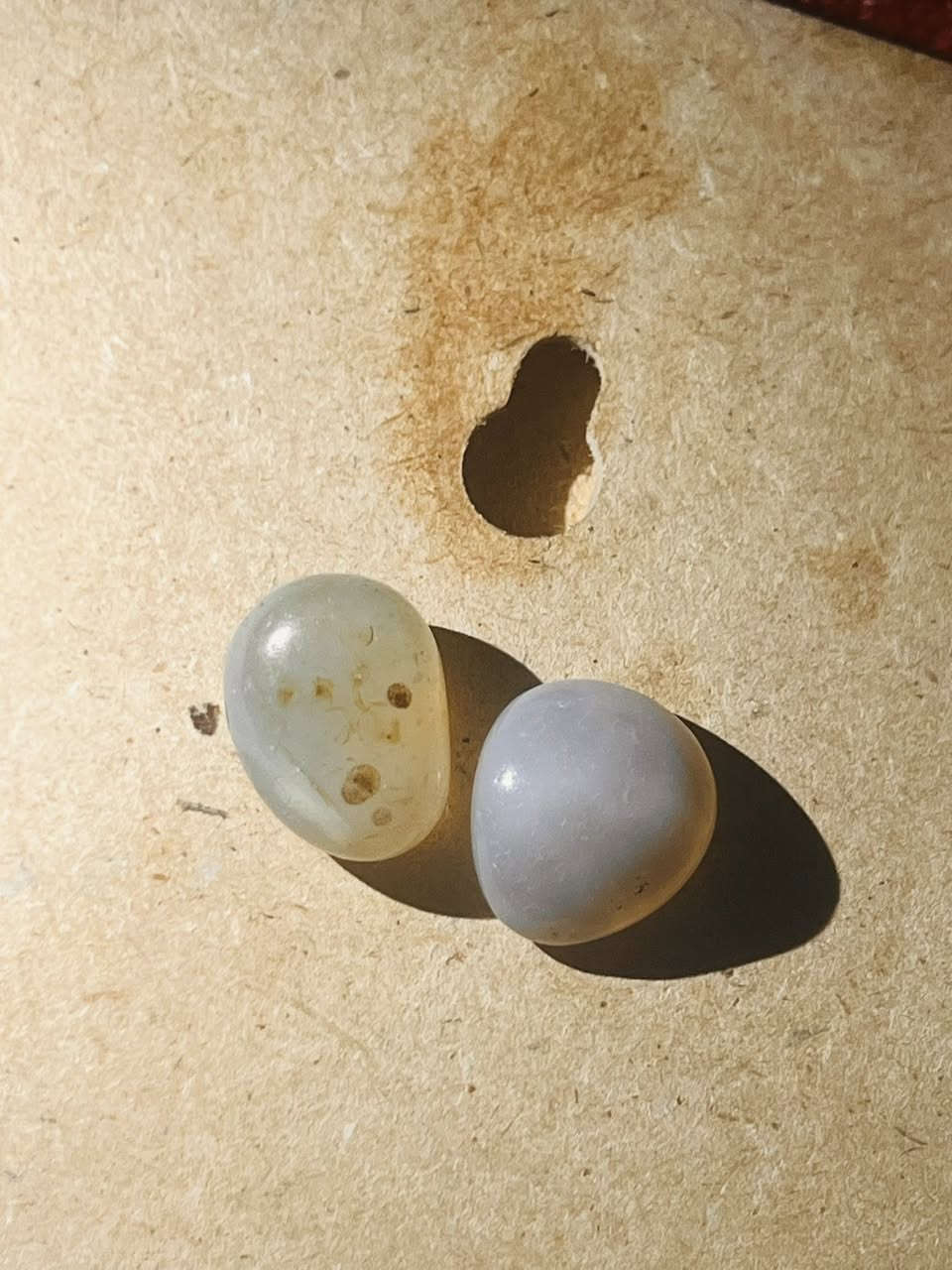 السلام عليكم  ذن القطع المتوفرات حالياً مكاني بغداد  در وسليماني  ويماني وسليماني خام وسليماني ناعم وداوودي


**إذا كنت صاحب هذا الإعلان وتريد حذفه لأي سبب، رجاءا أرسل رسالة إلى الدعم الفني**