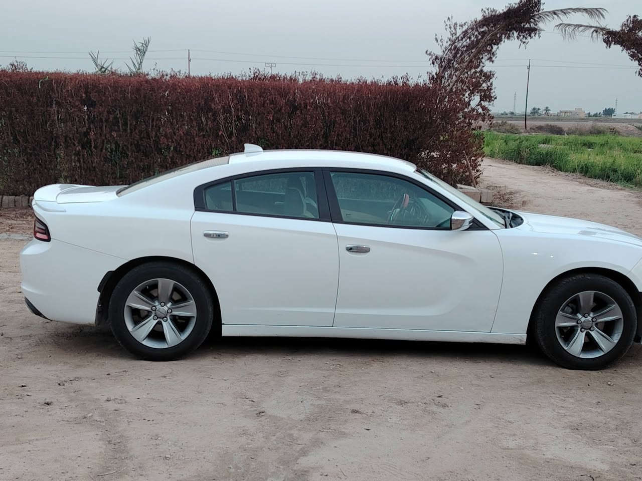 دوج جارجر 2017 رالي اصل  سعر  175
مكينة 3600 SXT 
رقم بغداد 
ماشيه200 mi حقيقي 
بيها ثلاث قطع صبغ وتبديل ومكفوله من عيب شرعي 
 فول مواصفات  تبريد منضومه جديده سويتها 750  الف  حتى فريز بدلت 

رادار جانبي 
نقطه عمياه 
هيتر مري
كشنات حضن 
كشنات تدفئه
شاشة كبير تدعم كار ابلي 
حساسات خلفيه 
ويل كب حجم 18 ابلادي
حداديه جديده 
السياره بالكارتون واحلى واجدد من الصور 
كير 
مكينه بيها خيط بخار توها باديه 
للاستفسا***********

مكان السياره ذي قار رفاعي
