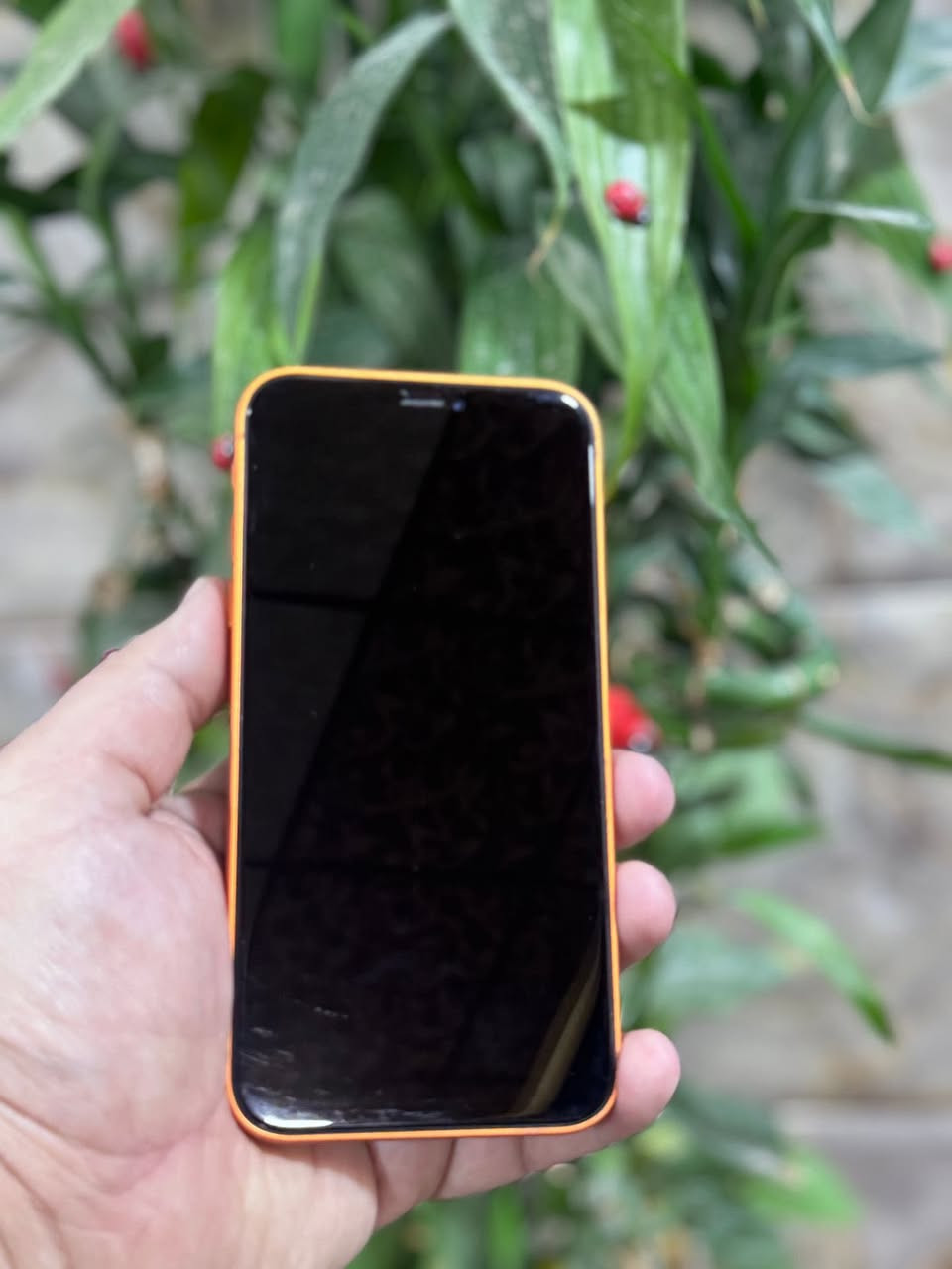 السلام عليكم
ايفون XR محور 17  ذاكرة 64 
فيس ايدي شغال 
بطارية 100 ‎%‎ مستبدلة 
واتس *********** 
العنوان المجموعة الثقافية عمارة سنتر الجزيرة مقابل رصيف الكتب / مارفيلا فون
