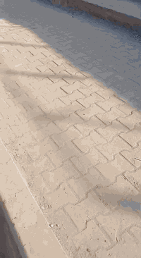 البيع ***********
