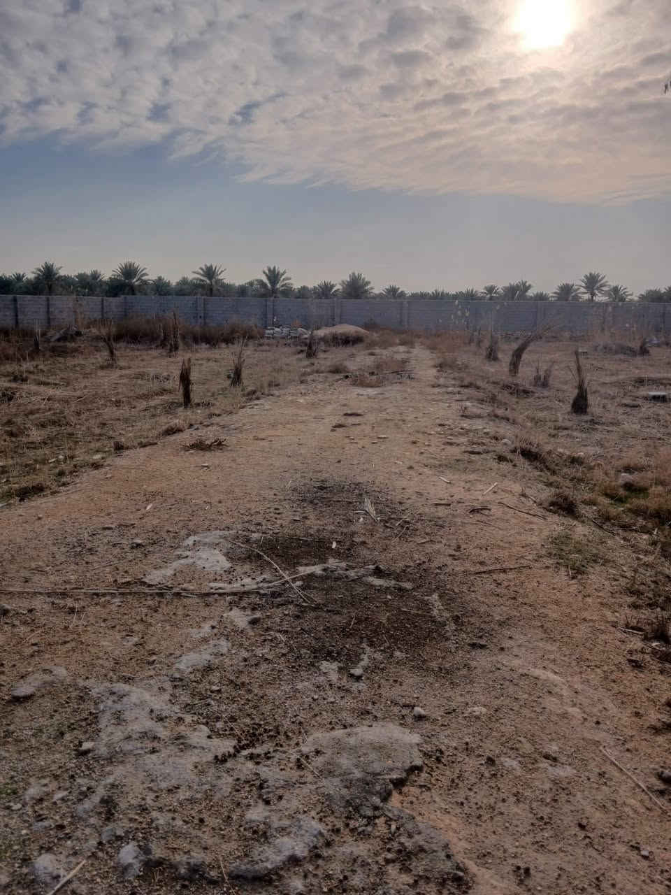 دونم للبيع سند ٢٥ تحويل مباشر بأسم المشتري الموقع كربلاء الابرهميه بزل مطشر مقابل منتجعات بغداد 
يبعن حولي ١٥ دقيقه ربع ساعه عن إلا مام الحسين 
الاستفسار ***********
