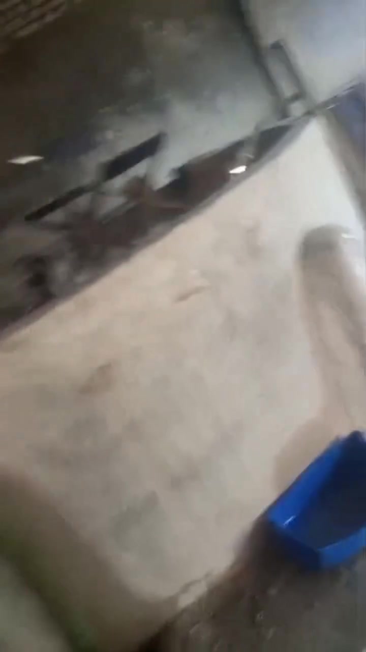 مراحل تصنيع #الغراء الحلاتيني
احنا مش بنفرحك ازاي الغيراء بتتصنع أنا بسبت لحضرتك أننا علي اعلي قدر من الكفايه 
في التصنيع والتوزيع بفضل الله
للاستفسار01009292532📲


**إذا كنت صاحب هذا الإعلان وتريد حذفه لأي سبب، رجاءا أرسل رسالة إلى الدعم الفني**