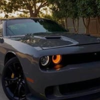 جالنجر • ٢٠١٩ • بصرة