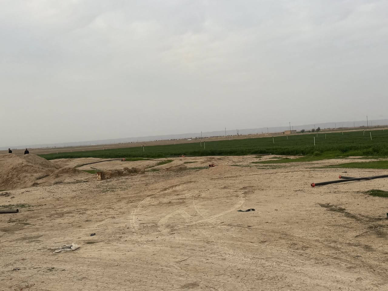 السلام عليكم 50 دونم على طريق الخزيفي بريه العلم بيها غرف سكن وبيها بير ميه فول الفول وبيها محوله خاصه بيها وبيها بورد كهرباء وخط كهرباء والأرض. مفلوحه حنطه الآن ارض سمينه وعدله حيل ومرتبه الي حاب يتصل بريه العلم صلاح الدين الشراي يتصل السعر 1500 غير قابل للتفاوض من الأخير ***********
