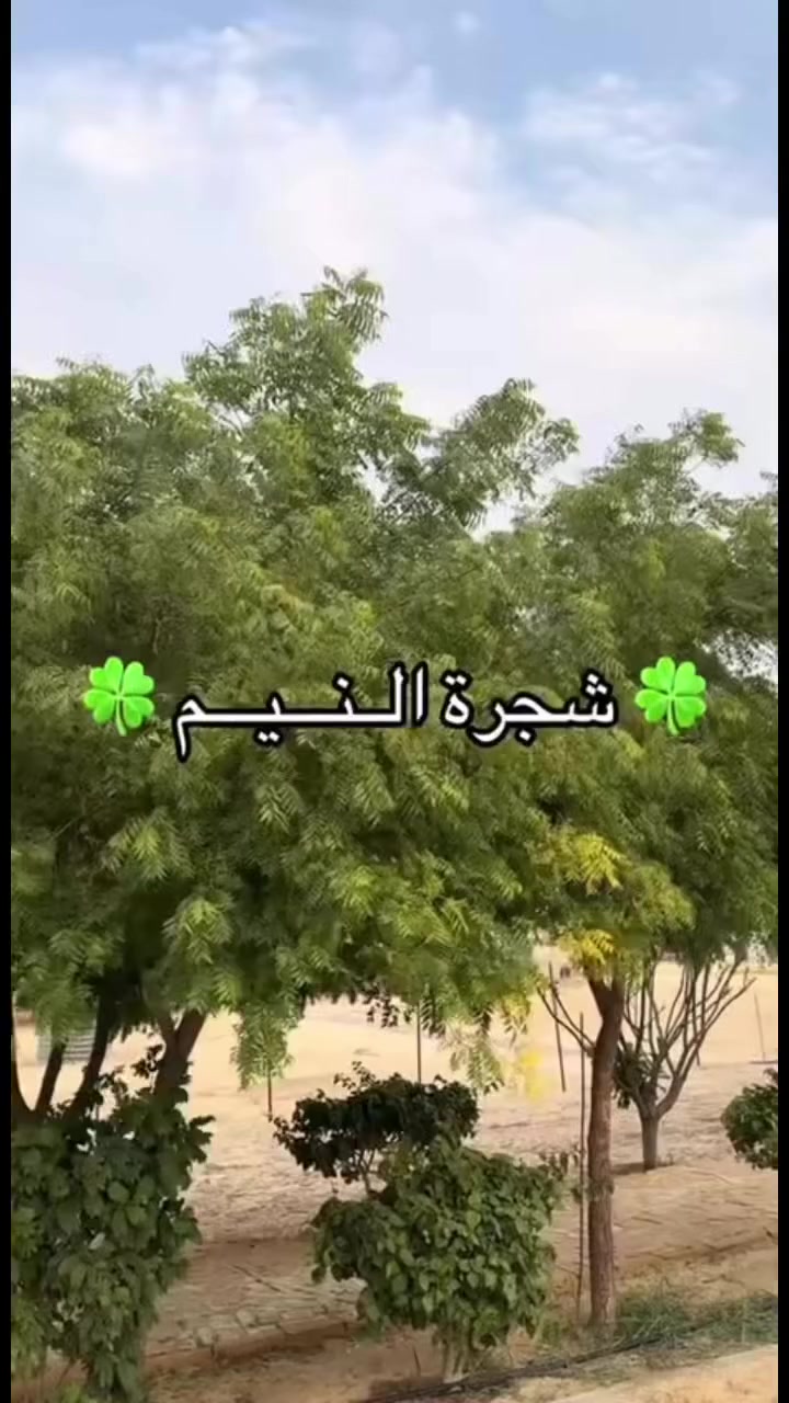 شجره النيم


**إذا كنت صاحب هذا الإعلان وتريد حذفه لأي سبب، رجاءا أرسل رسالة إلى الدعم الفني**