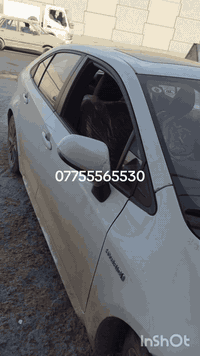 محل محمد الربيعي لتصليح المرايه الجانبيه لجميع السيارات موقع المحل بغداد البلديات مقابل حسينيه سيد صلاح بتجاه المجسر للستفسار ***********
