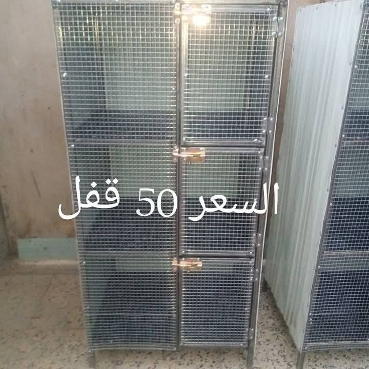 بصره قبله وسعار مناسبه


**إذا كنت صاحب هذا الإعلان وتريد حذفه لأي سبب، رجاءا أرسل رسالة إلى الدعم الفني**