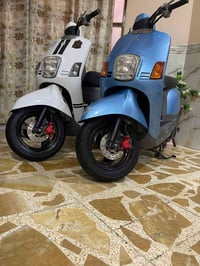ماكس بوليس • ٢٠٠٨ • كفاله عامه
