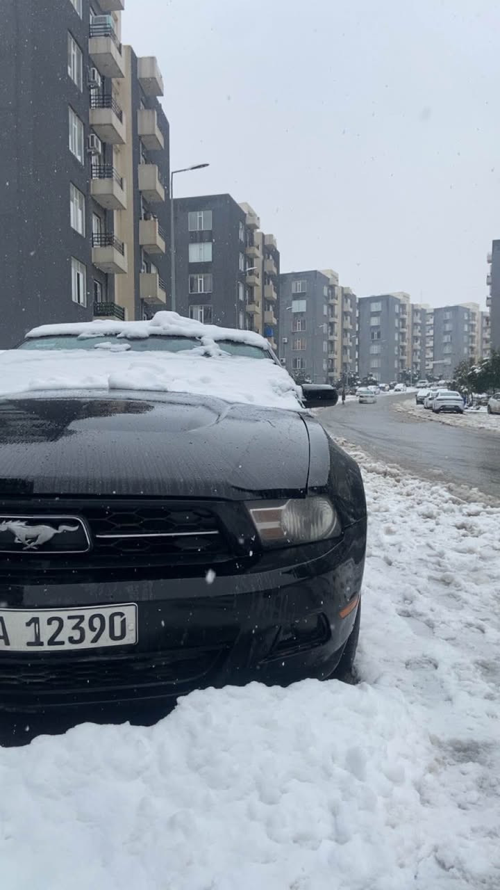 سلاوی خوا لە هەمو لایەک
فۆرد مۆستانگ بۆ فرۆشتن ٢٠١٠
بەشەرتی گیر مەکینە ئەکسل 
 فول مواسەفات گیر عادی 
سەقف کەشف
کوشن جلد کارەبا
تا بلی جوانە بەناوی خۆمەوەیە
دوو چەمەلخی پیش لەگەل پەلەیەک بۆنید کلیرە
درگای لای سەکن پەلەیەک چەمەلخی دوا بۆیاخە
بەشەرتی تەحویل خرامە 
سعر ٨٦ معامەلە
*********** السليمانية, العراق
