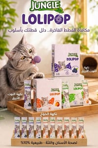 رخصة الإدارة