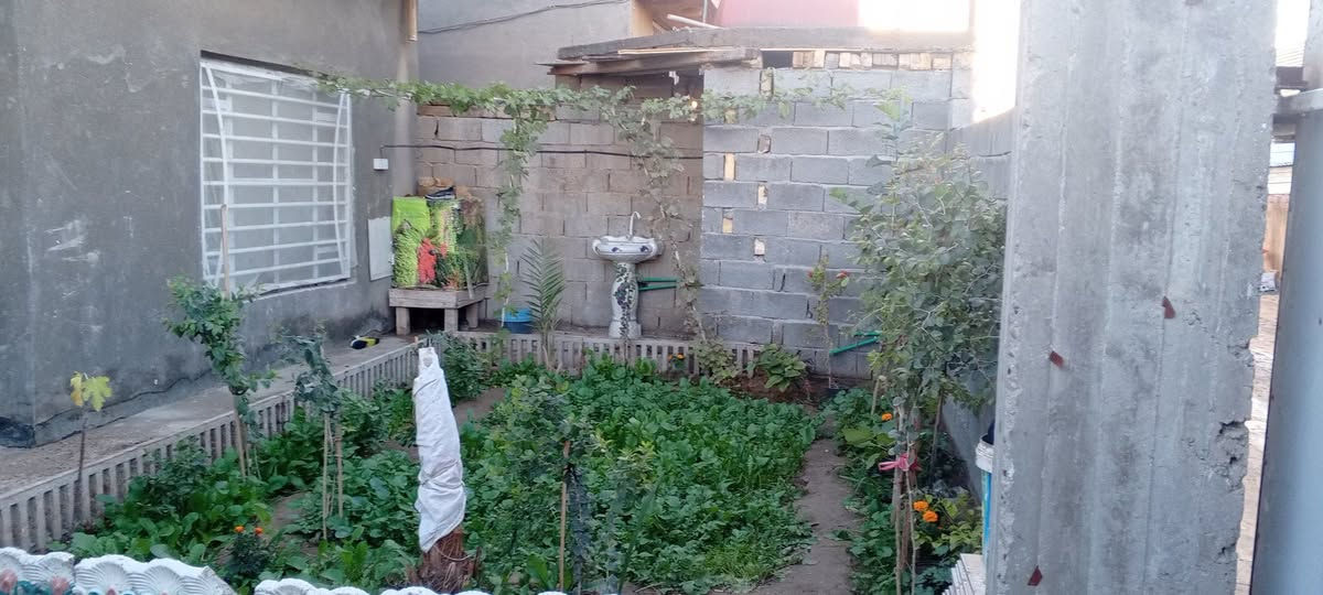 بيت طابو زراعي)موقع ورديه خارج خلف معمل ابو كيره ( البزل) فرع اول)البيت يحتوي علا غرفتين وهول ومضيف ومطبخ (وحمام داخلي وخارجي) ويحتوي علا حديقه وحوش ( بيت كامل ماي مجاري كهرباء)(البيت ٢٠٠متر) السعر 70وبي مجال رقم للاستفسار *********** ابو سيف
