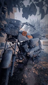 تايكر ٢٠١٩ • عيتاني بارت ٢٠١٩ • مكفولات