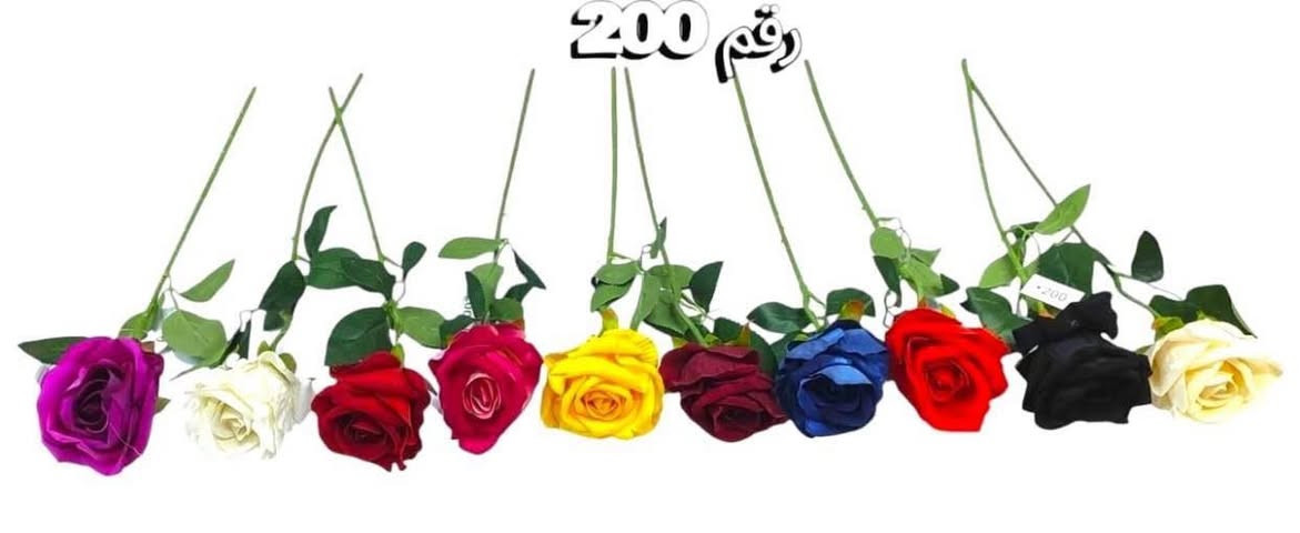 #مجمع_بيت_الاسرة_تم_وصول_بضاعه. 
#تخفيضات_ناااااااار .    
 
# تحطيم_بعالم_الأسعار ‏ 
العنوان -رمادي  -شارع عشرين فرع مقابيل  حلويات العيد رقم هاتف ***********  
الاسعار داخل كل صور يوجد خدمه توصيل
