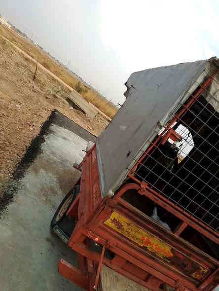 سلام عليكم ستوته للبيع موديل، 2014.محرك 22.اوراق كامله شرط الترقيم ستوته خير من الله  المكان ديالى كنعان  السعر المطلوب 750 وبيها مجال لاتصال ع رقم ***********
   مكلف بل نشر
