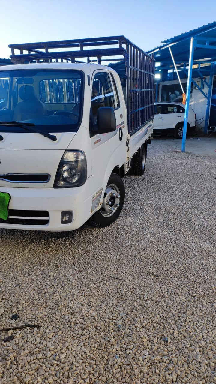 فحل موديل 19.
كفاله  ***********
