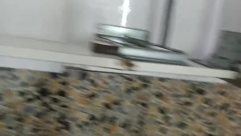 توصيل مجاني


**إذا كنت صاحب هذا الإعلان وتريد حذفه لأي سبب، رجاءا أرسل رسالة إلى الدعم الفني**