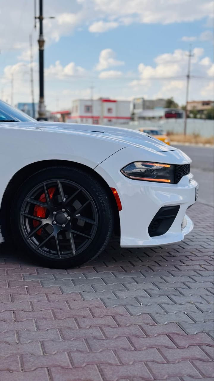 السلام عليكم 
دوج جارجر 2015 SXT 
محدث هيليكات 23
بونيد بلادي موجود مابي صبغ
بدون ضربه بدون صبغ 
سياره باسمى 
سنويه جديده
بطاقه بنزين 
شاشه جبيره
ويل حجم 20 
بدون مصرف سياره مصروف عليها مابي دينار مسرف
كير محرك بشرط 
صدر امامي خلفي بشرط
كمبرسير جديد شادلها صار يومين تبريد ثلج
ماشيه 146 mi
سعر 188
مكان كركوك
*********** كركوك, العراق
