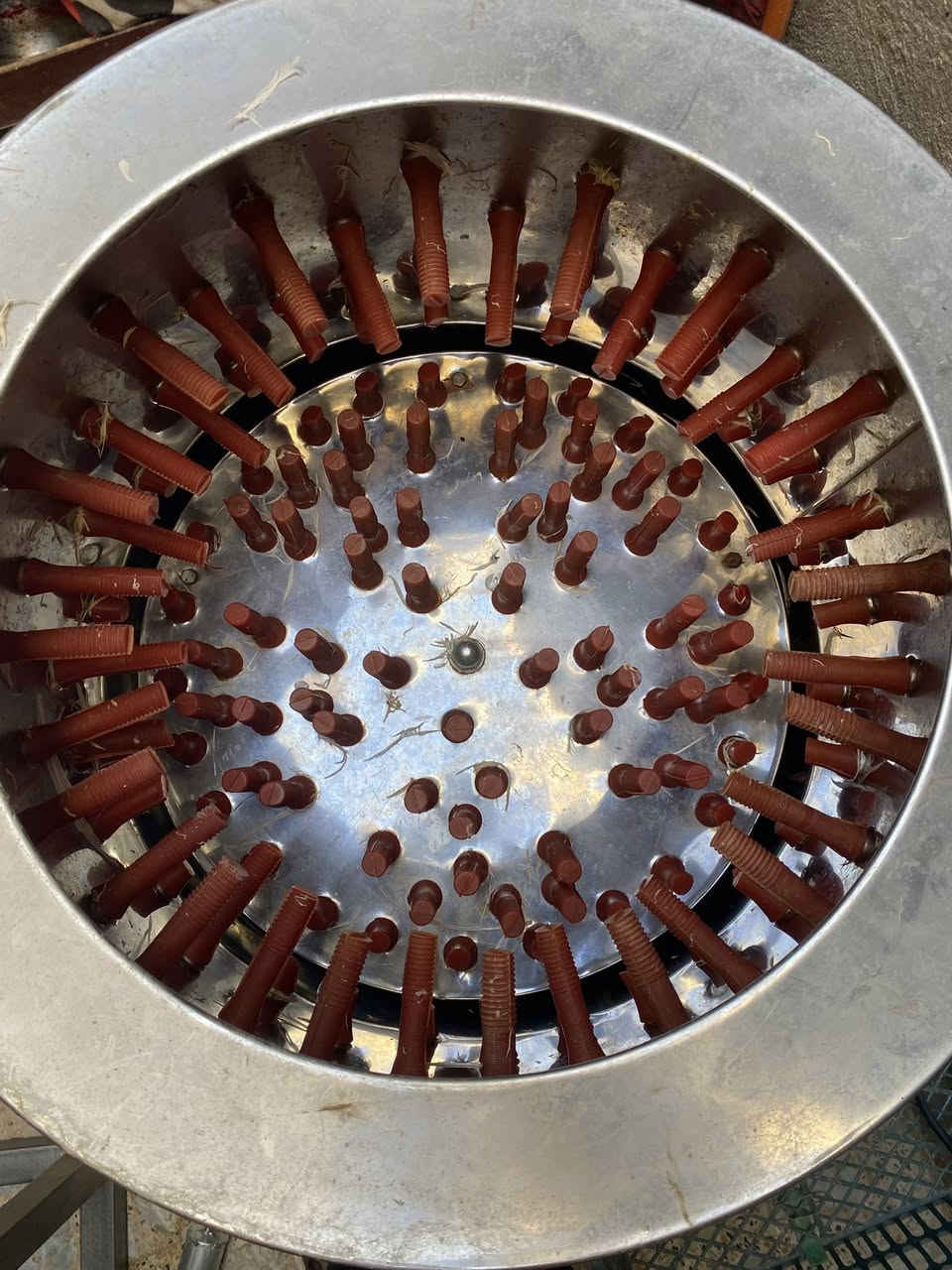 سلام عليكم عندي هلاسه مالت دجاج وعندي قفص مالت دجاج وتجي مذبحه مالت دجاج هديه للبيع واستفسار على هاذه الرقم***********
