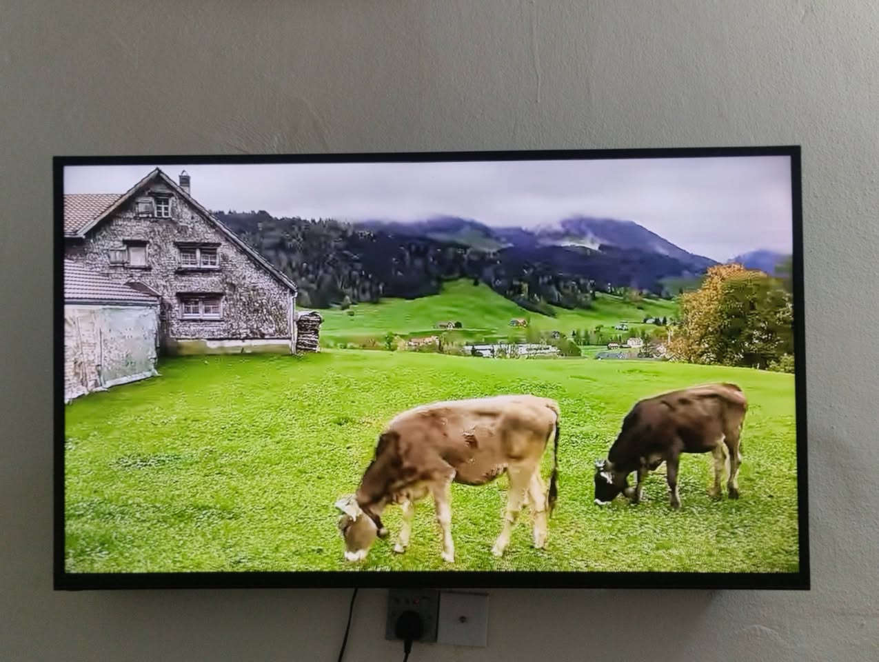 السلام عليكم شاشه حجم 58 نت فول نت دقه 4k  البيع السعر 250 وبيهه مجال بسيط الشراي مكاني ناحيه العباره الشراي يتصل ***********
