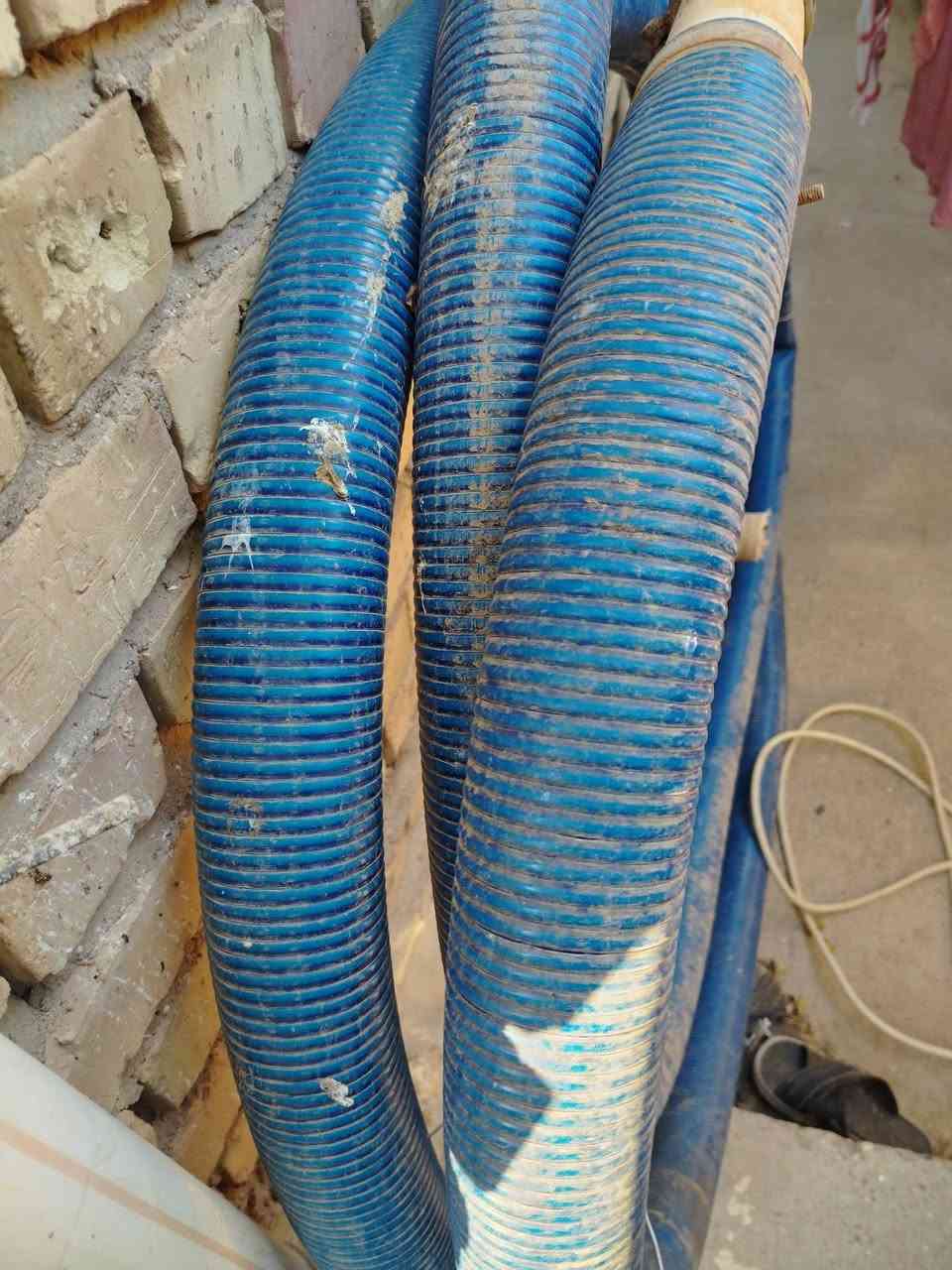 للبيع كلمن وسعره.   ***********
