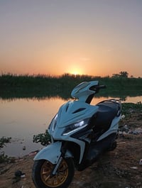 جامبو • صيني • نقصة زنجيل