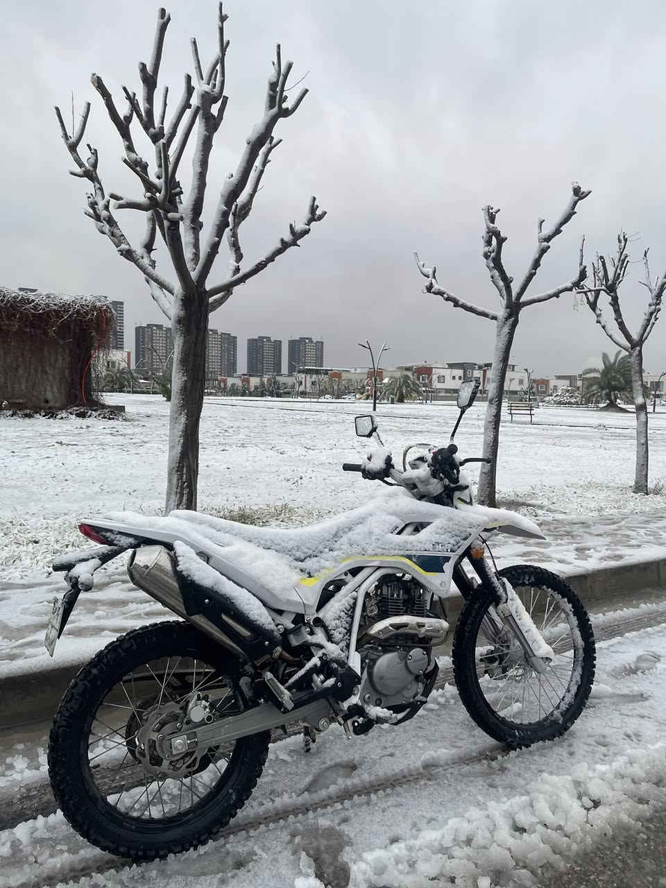 دراجة جبلية قفاز مرقم للبيع
200cc
قليل ماشية قرابة ال3000 ومامتعوبة ما ندوس بيهة
ستوك كلشي من الشركة 
 اريد ابيعها لان ماكدر اسوقها بمجمع سكني كاعد
مكان اربيل  
توصيل موجود  
رايدها ب 4 ملايين (ماخذها من الشركة ب 5 ملايين ونص)
*********** واتساب
