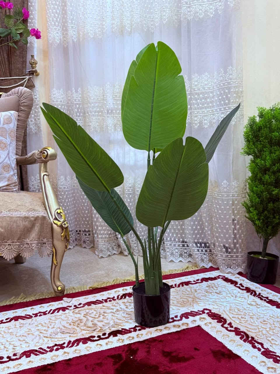 عرض خاص بمناسبه عيد الأضحى المبارك سعر الشجره ٢٥


**إذا كنت صاحب هذا الإعلان وتريد حذفه لأي سبب، رجاءا أرسل رسالة إلى الدعم الفني**