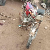 دراجة • رقم سنوية • سيد خيل