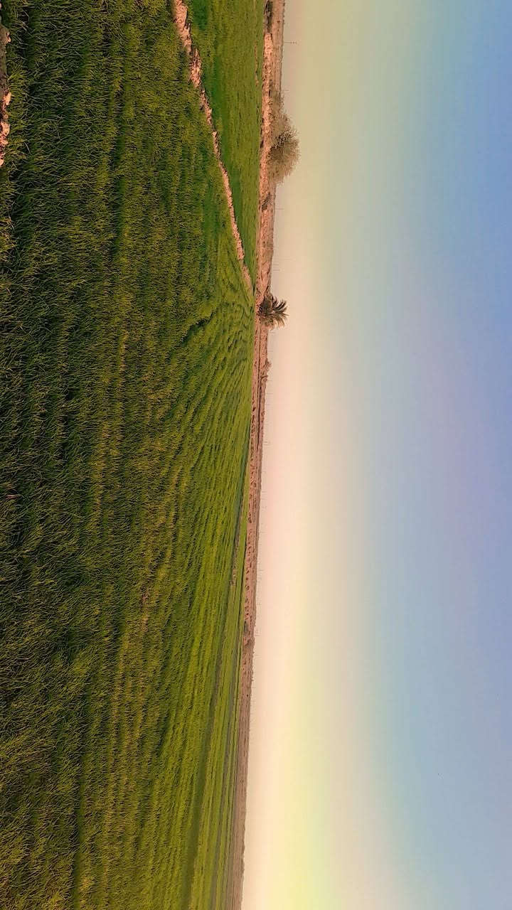 السلام عليكم
كاع 30دونم البيع زراعي متوفر ماي تبعد عند شط كيلو شارع ست متار عنوان الرفاعي المصيفي هاذه رقمي وتساب ***********
