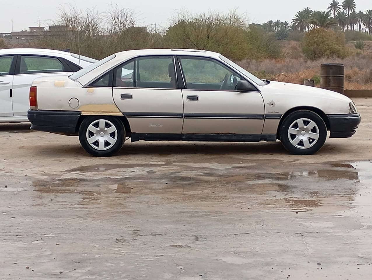 من رخصت الادمن
اوبل اوميكا 
موديل 1989
رقم الانبار سنويه 2030
بسمي تحويل مباشر 
تخم تأير
كير ومكينه خير من الله لا صرف ولا بخار
كير عادي 
كهربائيات شغاله كله 

خويس لكطتهن ع ليدي
مكفوله من ضربه وكصه 
 .
العنوان الانبار الفلوجه نساف 
سعر   23$.  وبيه مجال 

***********
