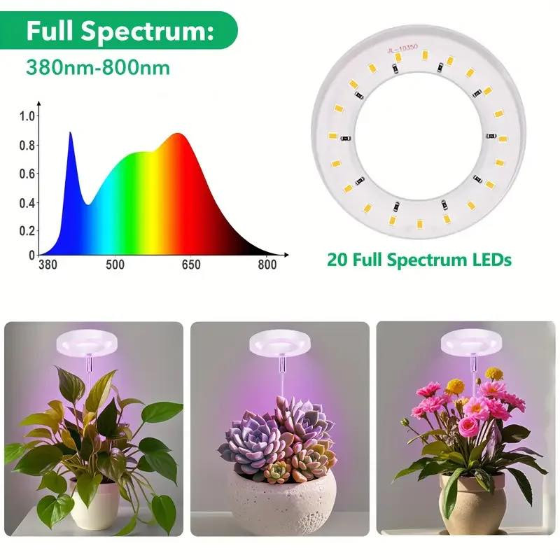 مال نباتات ضليه تفيده ينطي سعر


**إذا كنت صاحب هذا الإعلان وتريد حذفه لأي سبب، رجاءا أرسل رسالة إلى الدعم الفني**