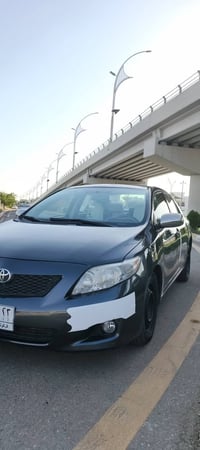 كورلا • ٢٠١٠ • كركوك