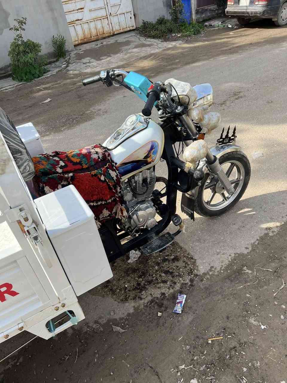 سلام عليكم ستوته للبيع المديل ٢٥ طالعه ٢٦ الشكل الجديد ستوته بعدها جديده بمعنه الكلمة دبل محجر وشرط فحل عالي مو شمالي جنوبي تاخذها ألف مذب عليها شراي اتصل وخادم إني ***********
