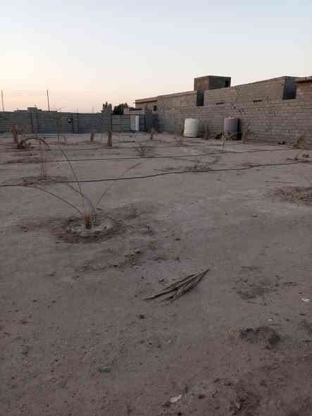 سلام عليكم نص دونم للبيع مسيج وكهرباء واصله للقطعه ماء تحليه وماء بئر سعر 28وبيه  مجال قليل مكان مكصب جاي من حسينيه الذهبيه ***********
