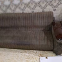 ١٠مقاعد • طبلات كبيرة • مدينة الصدر بغداد