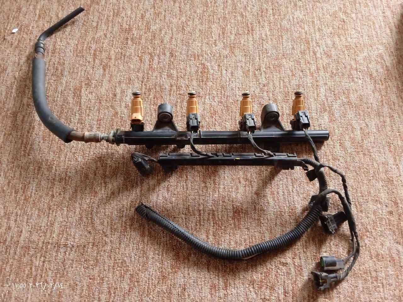 تخم نوزلات اصلي حاويه السعر 50.. ***********
