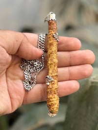 السلام علكيم / عرك سواحل نباتي  طاقات عاليه سواحل يوجد توصيل لجميع الم...