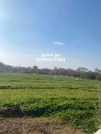 المدائن التويثه • ٥ دونم • واجهة شارع عام