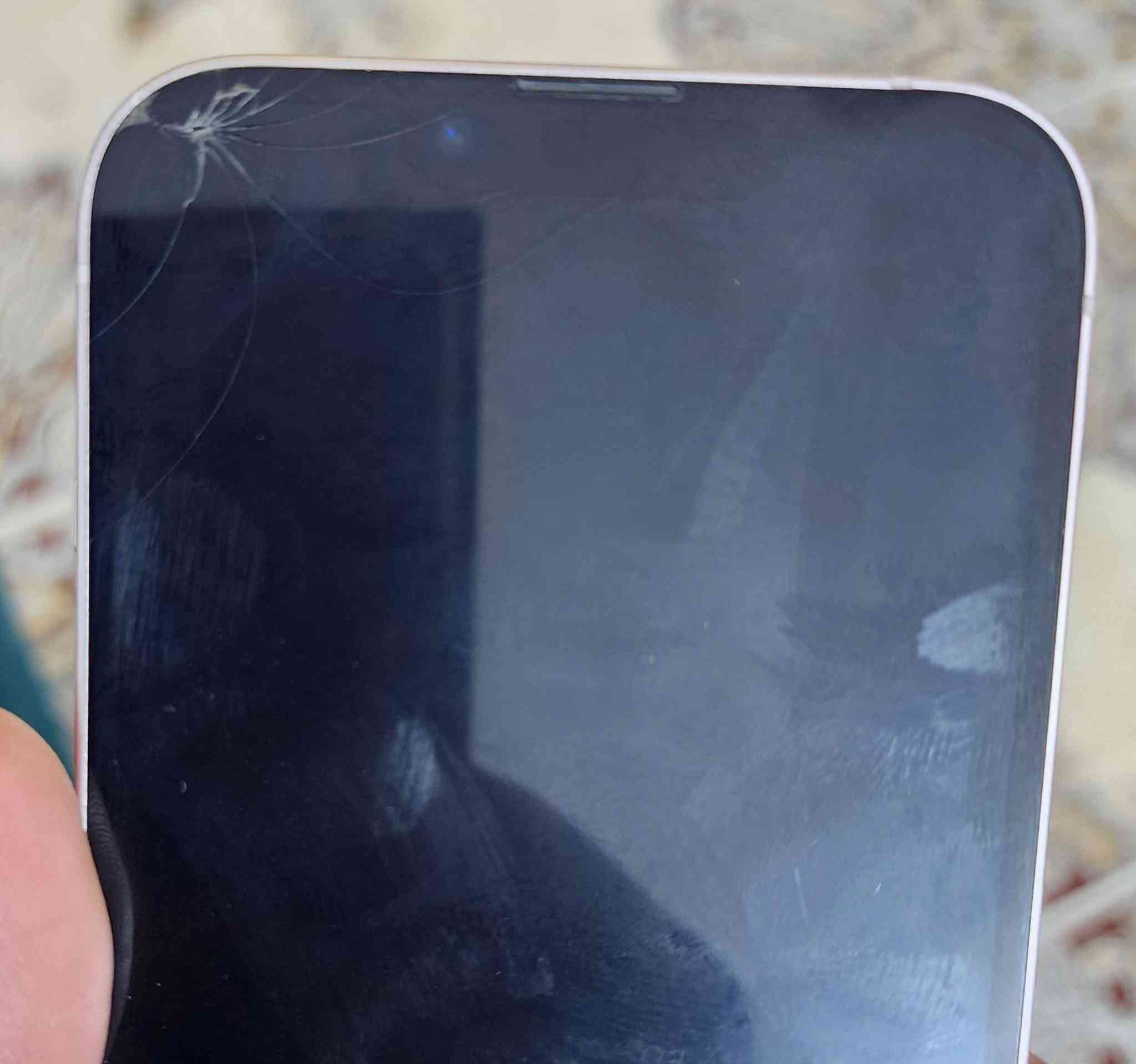 ايفون 13 / شرق اوسط ماستر
مكفول وتربروف مشتري جديد طك كارتون والوصل موجود 
بيه فطر بالكلاس ما مأثر يشتغل طبيعي فيس ايدي شغال وكلشي شغال طبيعي
بطارية / 71.   صرفة طبيعي
ذاكرة 128
الجهاز نظيف كلش
السعر / 350
بيع فقط ما اراوس والشراي يتفضل خاص


**إذا كنت صاحب هذا الإعلان وتريد حذفه لأي سبب، رجاءا أرسل رسالة إلى الدعم الفني**