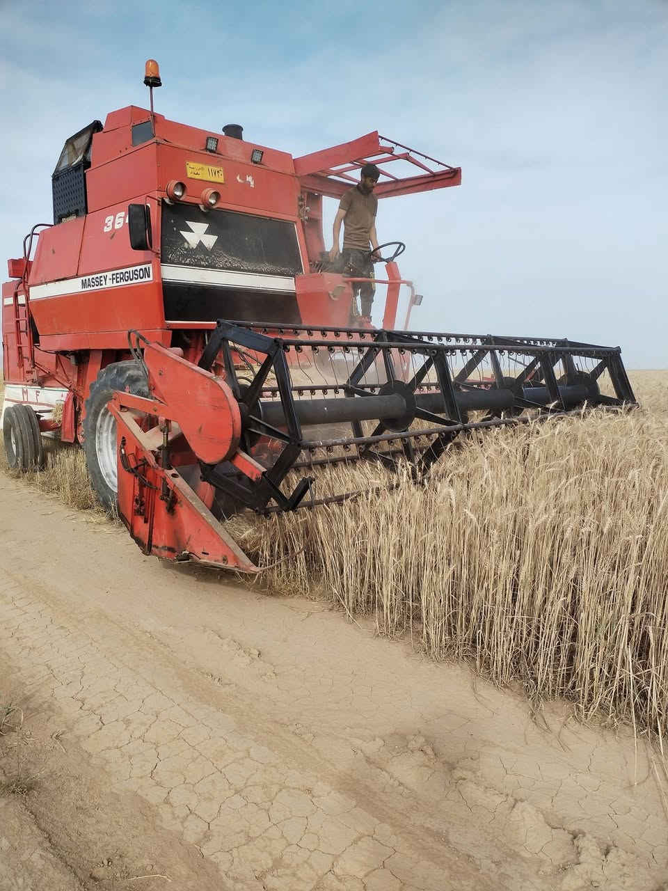 حاصوده موديل 1999 قضاء مخمور
ناحيه القراچ قريه الصرناج للاستفسار ***********
