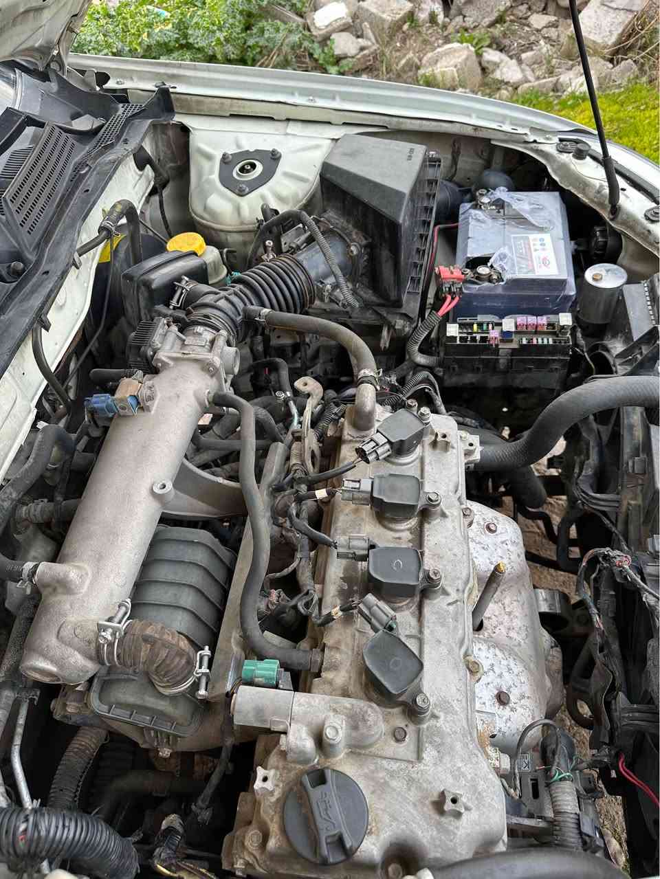 سه ني كؤري براوه موديل ٢٠١٢ 
سبي ناو زه رد قرجيكي بيشي هه يه به شه رتي كيرو مه كينه 
سعر : ٣٩ گلا 
ژم : *********** السليمانية, العراق
