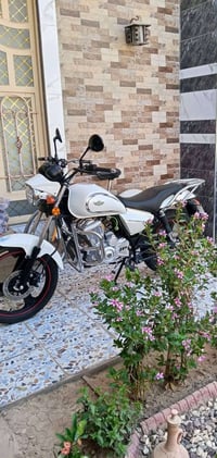 سنكي ناصي ساو • ٢٠٠ • ٢٠٢٤